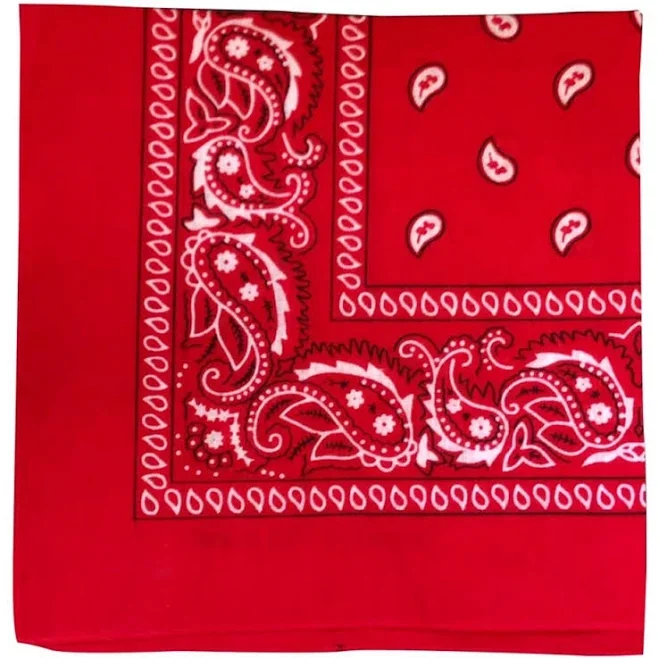 Paisley Cotton Bandana