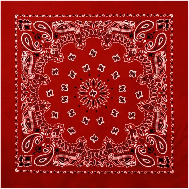 Rothco Large Trainmen Paisley Bandana